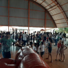 miniatura 11