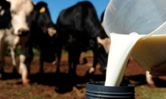 Importação de leite da Argentina e Uruguai causam prejuízos para produtores e laticínios