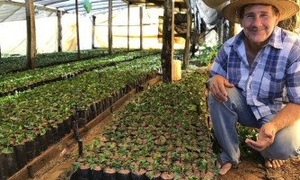 Sicredi aplica R$ 1,426 bilhão nos quatro primeiros meses da safra 2018/2019