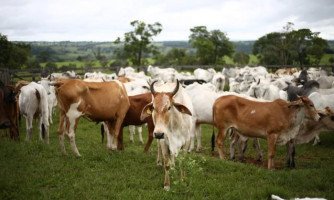 São José dos Quatro Marcos receberá Acrimat em Ação no dia 04 de março