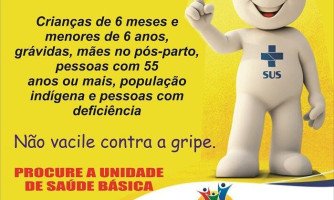 Não vacile contra a gripe