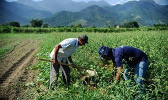 Produtores terão R$ 4,1 bilhões em recursos no Sicredi