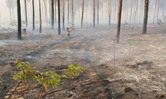Fogo atinge propriedades rurais em Reserva do Cabaçal e causa destruição