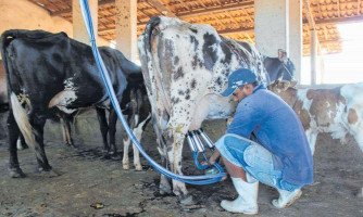 APLO anuncia apoio à paralisação de produtores de leite da região, SINDILAT explica momento vivido pelas indústrias de laticínios