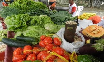 Aprovado projeto de lei que prevê medidas de socorro a agricultores familiares e a trabalhadores rurais