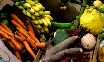 Pequenos produtores representam 75% dos associados do Sicredi nas regiões Centro-Oeste e Norte