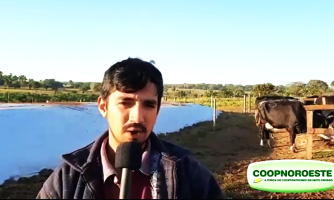 Produtor reconhece importância do Programa de benefícios desenvolvido pela Coopnoroeste