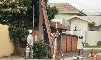 Atendendo prefeito e vereador, Energisa realiza poda de árvores na rede de energia elétrica em Araputanga