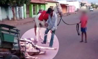 Cavalo cai ao puxar carroça com excesso de peso em Cáceres e carroceiro chuta o animal; veja vídeo