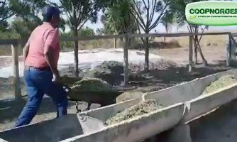 COOPNOROESTE: Programa de incentivo aos cooperados