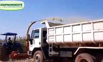 Produtor é beneficiado com Programa de Incentivo Silagem e Sorgo
