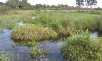 Ministério Público de Mato Grosso apresenta projeto Água Para o Futuro ao Município de Araputanga