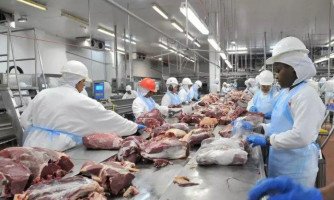 Minerva abre programa de estágio com chance de efetivação em Mirassol D´Oeste