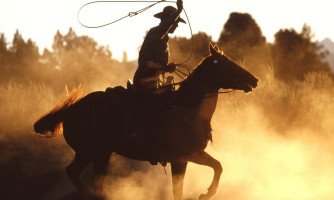 Câmara aprovou projeto de apoio a realização da festa do peão de Araputanga
