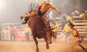 Festa do Peão de Araputanga acontece com montarias em touros e cavalos e shows nacionais