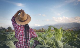 19º Encontro da Mulher Rural de Indiavaí será realizado neste sábado (17)