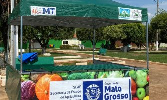 Produtores, artesãos e empreendedores poderão realizar inscrição para Feira Livre em Indiavaí