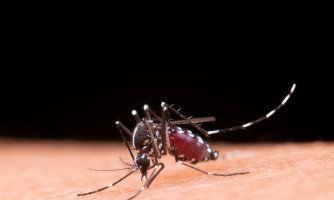 Registrado caso com evolução grave da Dengue em Araputanga