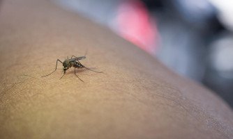Vigilância realiza bloqueio químico em bairros com casos confirmados de dengue em Araputanga