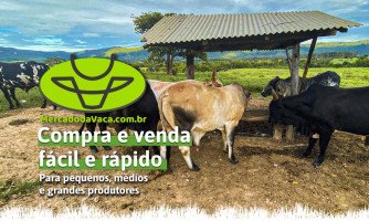 Mercado da Vaca e Agro Evolution Drone destacarão avanços tecnológicos aos produtores na 3ª Festa do Leite
