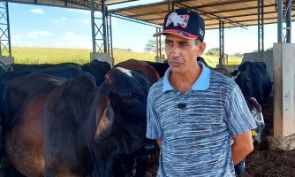 Produtor rural investe em melhoramento genético para aumentar produção de leite; veja vídeo