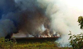 Moradores de comunidades rurais de Araputanga pedem ajuda para eliminar incêndios florestais ; Assista