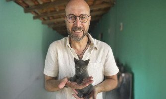 Deputado propõe cassação da CNH para quem abandonar animais em vias públicas