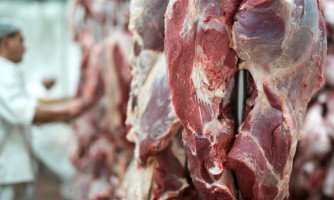 Exportações de carne de Mato Grosso para os EUA despencam 73%