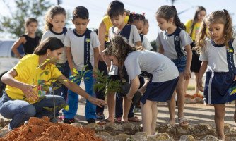 Sicredi Biomas destaca dedicação dos professores parceiros por meio de iniciativas do Programa A União Faz a Vida