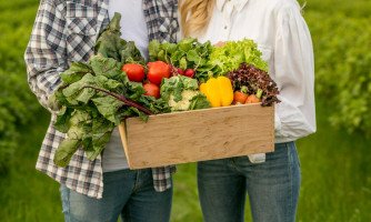 TCE-MT aprova medidas para destravar venda de produtos da agricultura familiar no estado