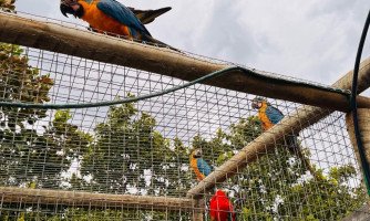 Guarda de animais silvestres permanece aberta durante todo o ano, entenda