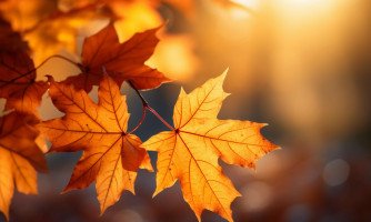 Outono começa amanhã: Centro-Oeste entra em meio à transição típica da estação chuvosa para a seca