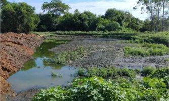 Decreto emergencial deve agilizar elaboração de plano de recuperação ambiental em Mirassol d’Oeste