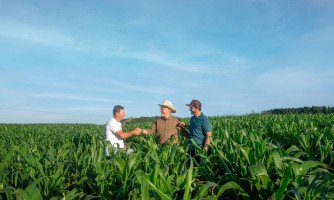 Liberações de recursos pelo Sicredi atingem R$ 48,3 bilhões nos primeiros oito meses do Plano Safra 2025/2026