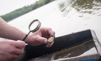 ANM autoriza pesquisa de ouro em área de Reserva do Cabaçal e Salto do Céu