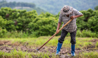 Convênio amplia acesso à isenção de ICMS para agricultores familiares