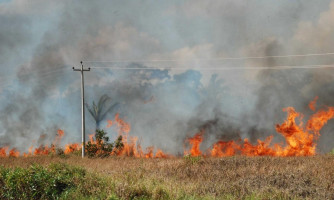 Período proibitivo de uso do fogo começa nesta quarta-feira (1º) em MT