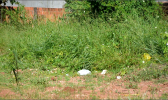 Prefeitura promove limpeza de terrenos baldios e pede colaboração da população