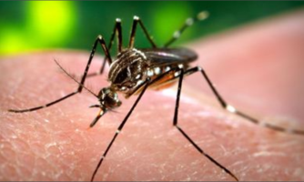 Mato Grosso já registra mais de 26 mil casos de dengue