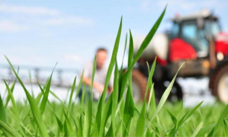 Meio Ambiente elabora CAR para produtores de baixa renda