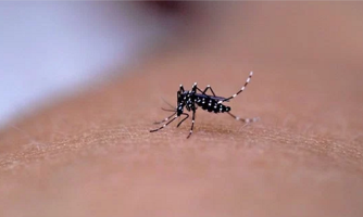 Confirmado o primeiro caso de chikungunya em Araputanga