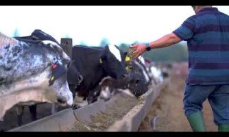 Coopnoroeste/Lacbom apresentam o maior 