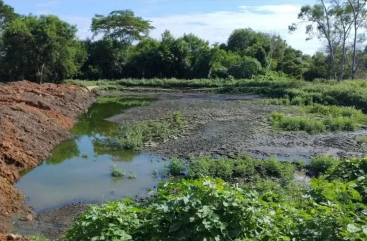 Decreto emergencial deve agilizar elaboração de plano de recuperação ambiental em Mirassol d’Oeste